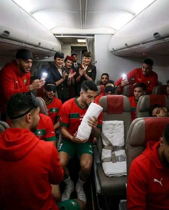 Bark Luxury Apartments