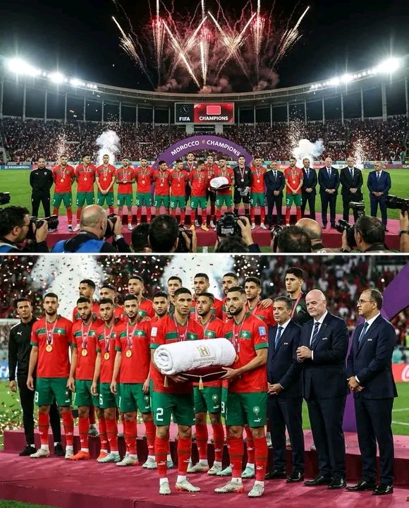 Bark Luxury Apartments