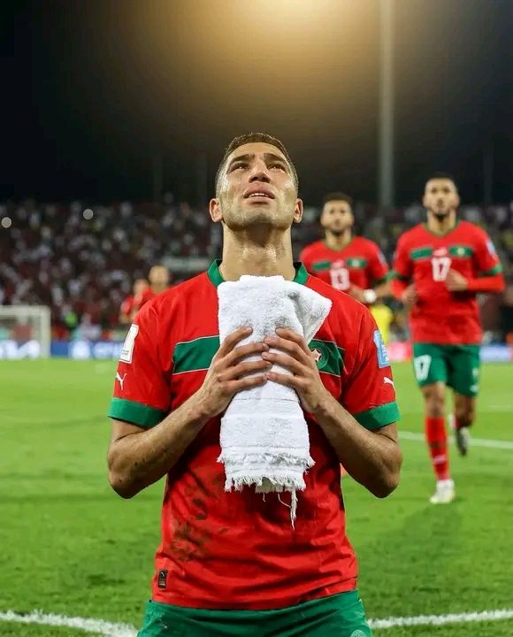 Bark Luxury Apartments