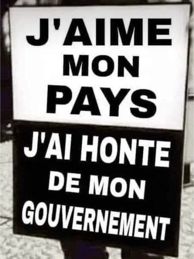 Bark Luxury Apartments