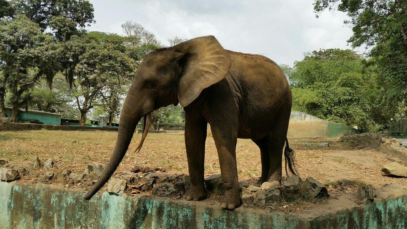 Zoo National d'Abidjan