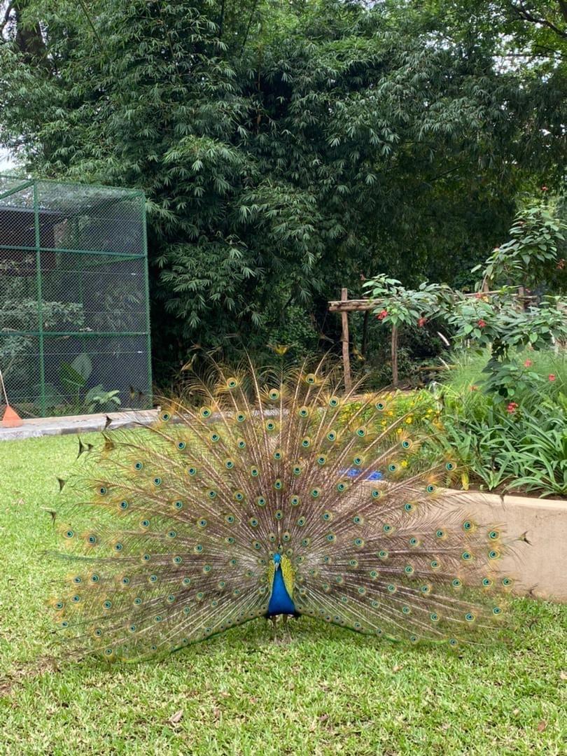 Zoo National d'Abidjan
