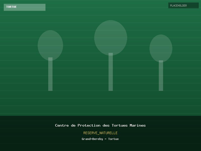 Centre de Protection des Tortues Marines